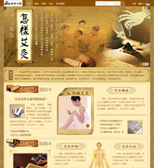价值168.00元医疗/中医艾灸discuz论坛模板插件下载,论坛源码主题