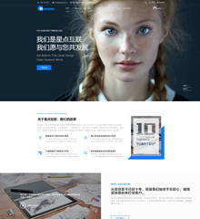 价值288.00元企业产品服务案例discuz论坛模板插件下载,论坛源码主题