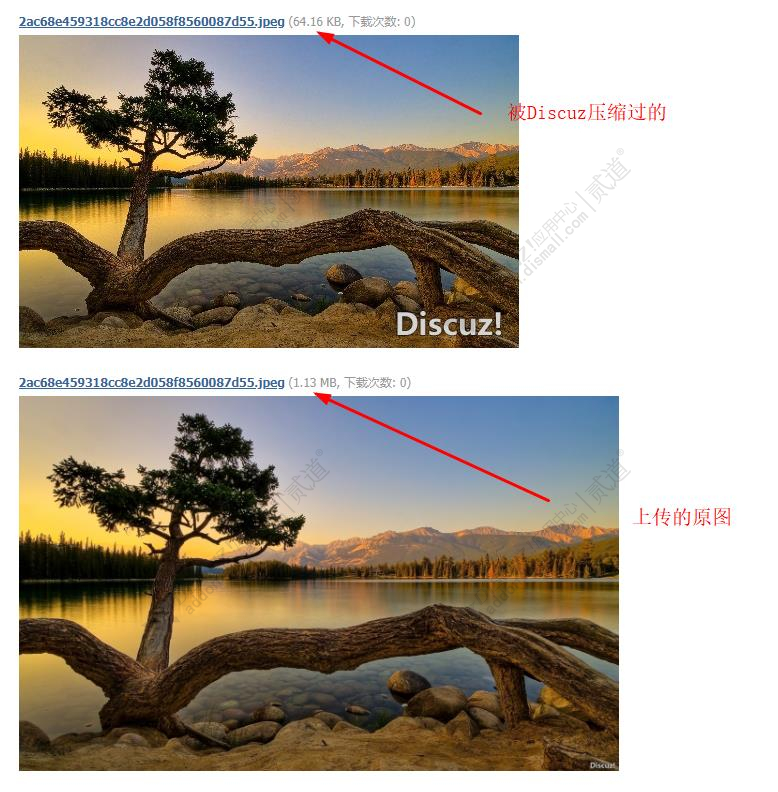 discuz热血传奇游戏论坛截图4 discuz热血传奇游戏论坛截图4