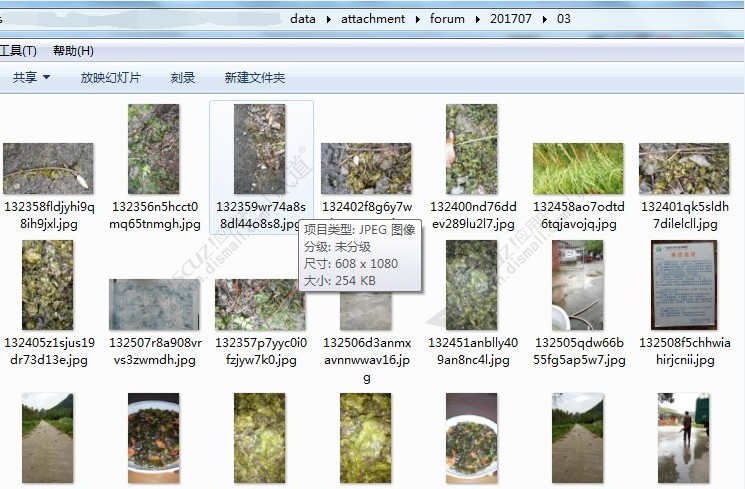 discuz新闻杂志博客模板截图5 discuz新闻杂志博客模板截图5