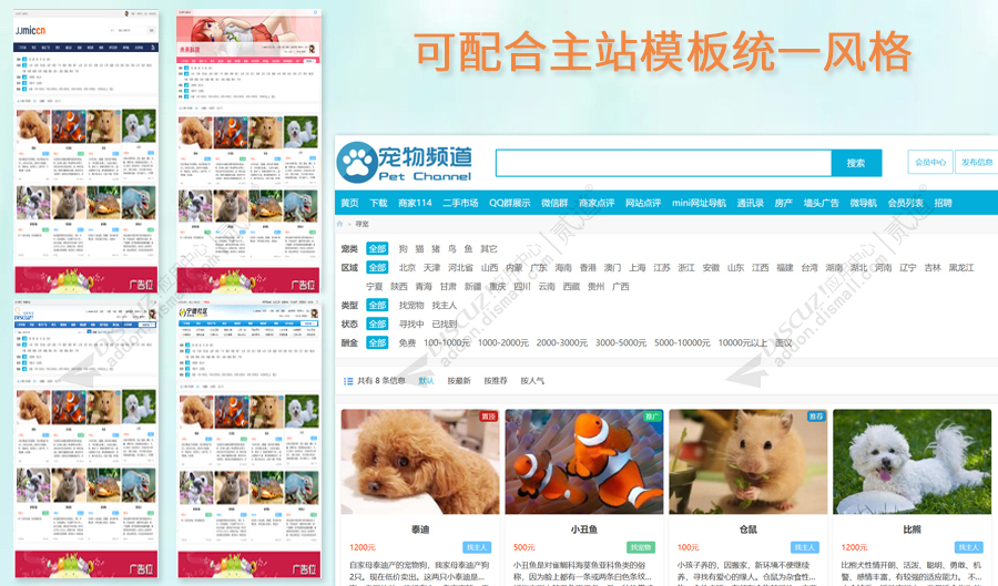 discuz简易寻宠宠物招领截图3 discuz简易寻宠宠物招领截图3