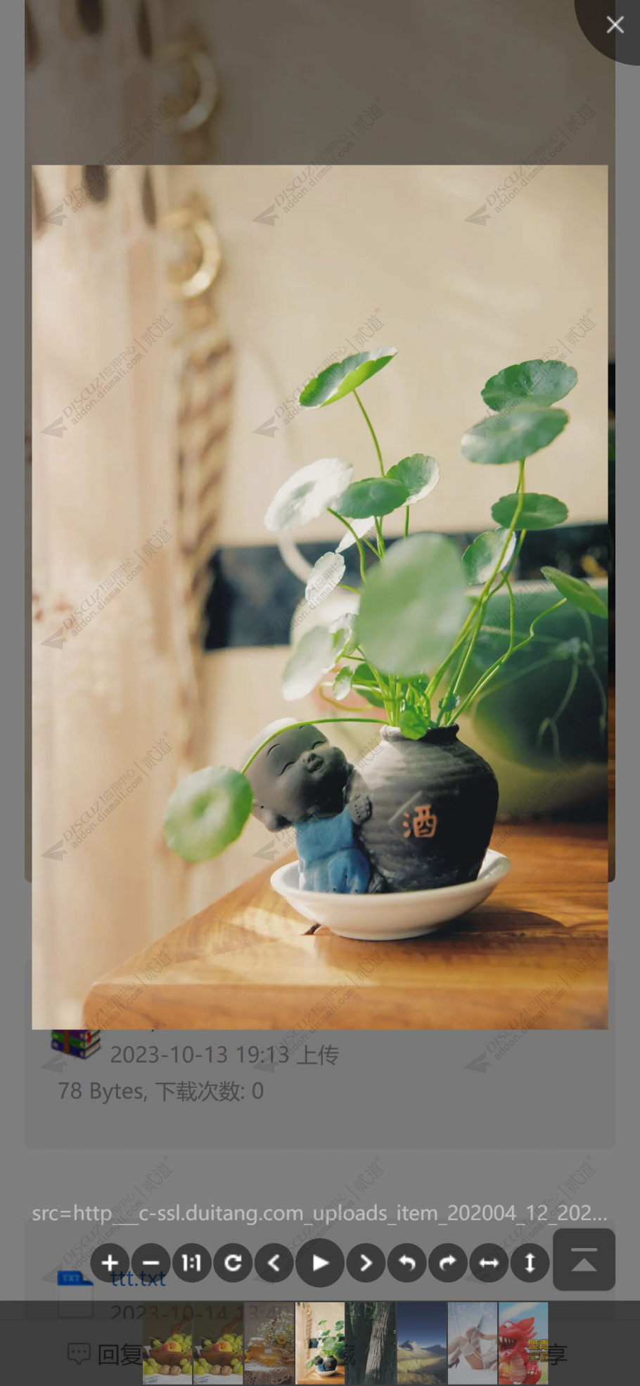 discuz图片查看器截图1 discuz图片查看器截图1
