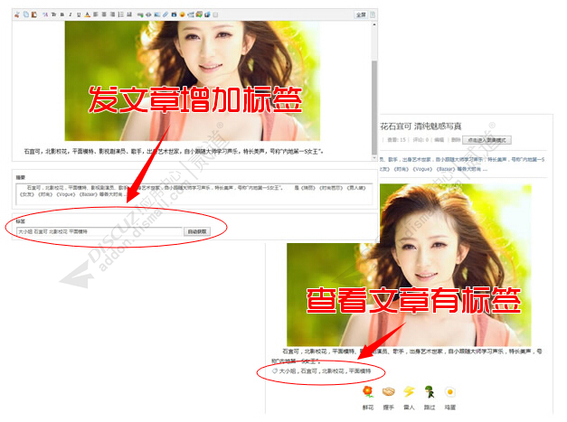 discuz①文章标签截图1 discuz①文章标签截图1